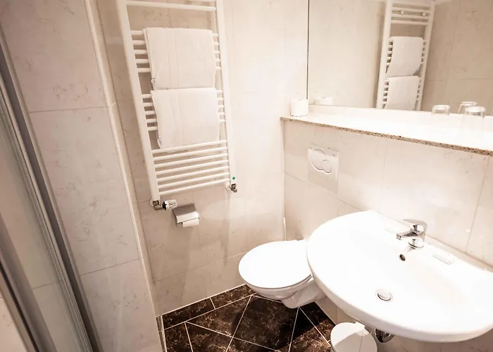 ホテル Graf Zeppelin 3*