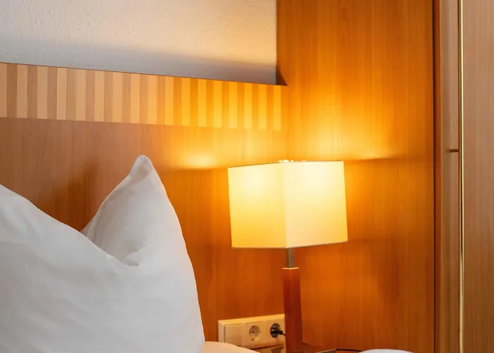 Graf Zeppelin 酒店 3*